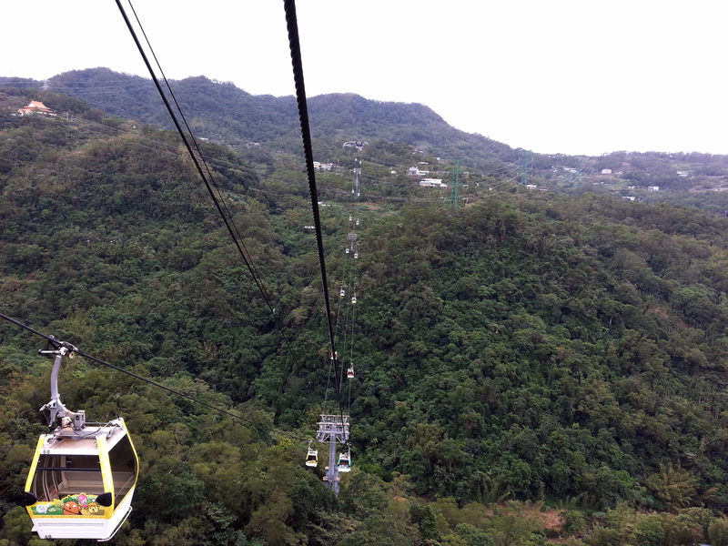 Aerial view of a cable car ascending a lush green mountain.